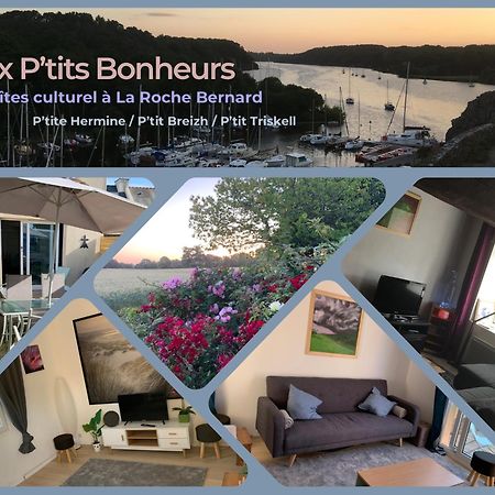 Aux Petits Bonheurs, Gites Culturel A La Roche Bernard Férel エクステリア 写真